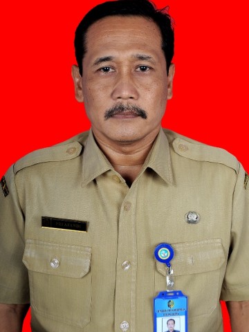 PRI AFANDI, S.Pd